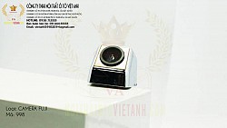 CAMERA LÙI FUJI 998